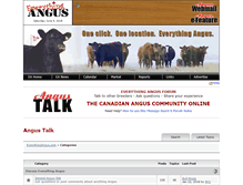 Tablet Screenshot of everythingangus.websitetoolbox.com